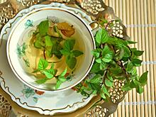 Какие комнатные растения лечат и очищают воздух