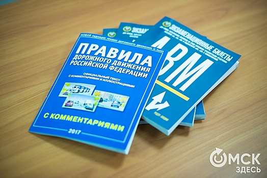 Омича посадили на 10 суток за многочисленные нарушения ПДД