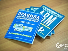 Омича посадили на 10 суток за многочисленные нарушения ПДД