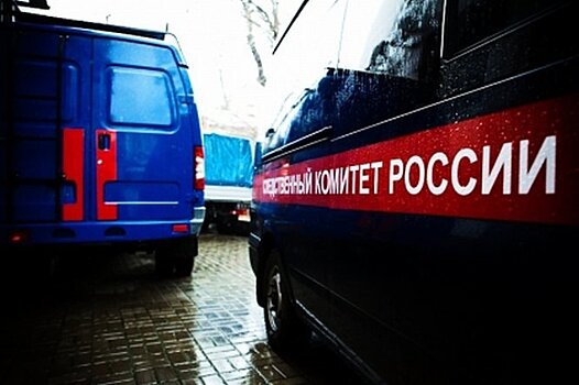 В Нижегородской области девочка погибла в пожаре, устроенном ее братом