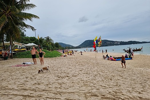 Российский артист балета трагически погиб в Таиланде