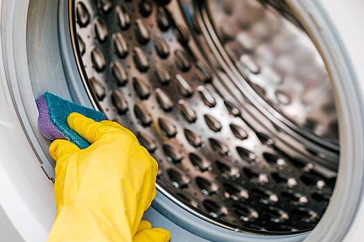 Россиян предупредили о плодящихся в стиральной машине опасных микроорганизмах