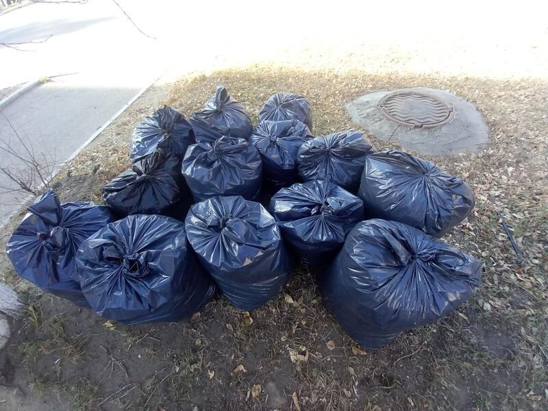 Чат-бот для оперативной уборки мешков с мусором хотят запустить в Чите