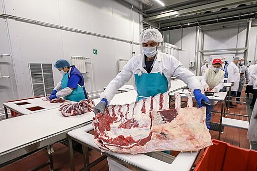В Ульяновской области запускают новый мясокомбинат