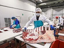 В Ульяновской области запускают новый мясокомбинат