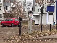 У угрожавшего жене участника СВО "иностранного специалиста" нашли нарушения