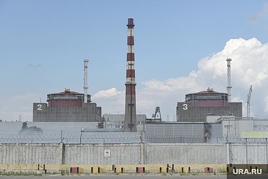 Росэнергоатом: на Запорожской АЭС выявили агента ВСУ
