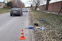 В Башкирии водитель иномарки насмерть сбил женщину, шедшую по краю дороги