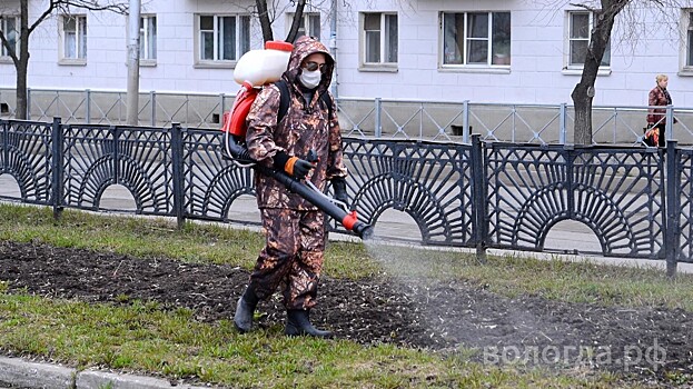 В Вологде объявлен конкурс по выбору подрядчика для обработки растений от клещей