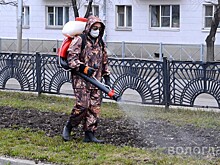 В Вологде приступили к противоклещевой обработке общественных пространств