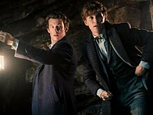 Журналисты раскритиковали новых «Фантастических тварей»