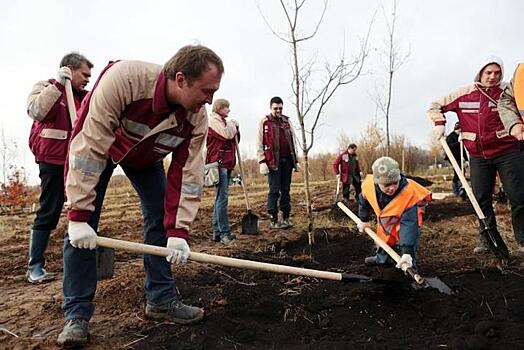 Более 400 кустарников и деревьев высадили в Реутове