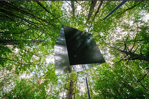 В честь авангардиста Малевича возведут "Супрематический лес"  из 12 тысяч палок