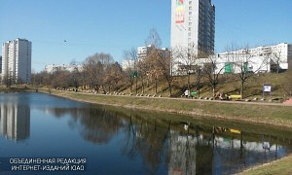 СМИ: Бирюлево и Внуково признаны самыми чистыми районами Москвы