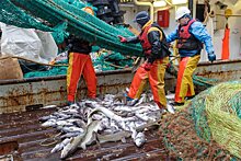 Что мешает рыбакам снизить цены на свою продукцию