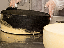 Курский сыродел участвует в масштабном фестивале «Вкусы России»