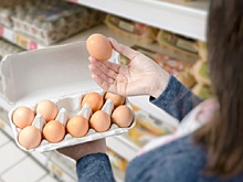 Российские птицефабрики хотят поднять отпускные цены на яйца