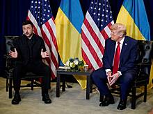 В Госдуме отреагировали на переговоры Трампа и Зеленского об ударах вглубь России