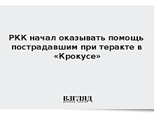 РКК начал оказывать помощь пострадавшим при теракте в «Крокусе»