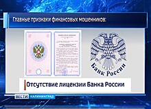 В прошлом году Банк России выявил 137 финансовых пирамид