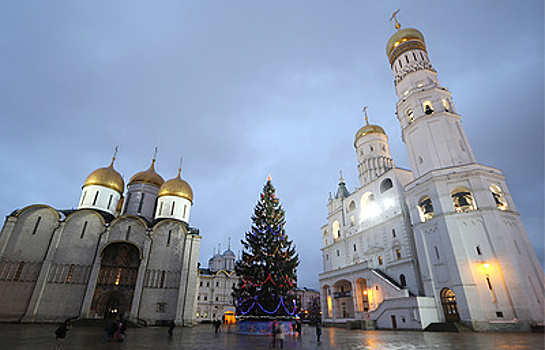 Кремль украсит вековая новогодняя ель