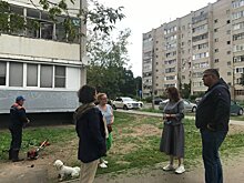 Замглавы Пушкинского горокруга проверила содержание двора в Правдинском