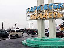 Группа украинских разведчиков попала в плен в Харьковской области