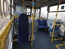 Власти проводят опрос о запуске ночного автобуса до читинского аэропорта