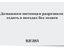 Домашним питомцам разрешили ездить в поездах без хозяев