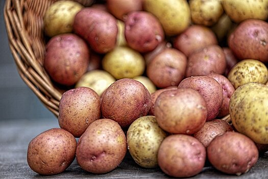 Почему нельзя отказываться от картофеля: 4 полезных свойства