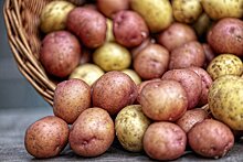 Почему нельзя отказываться от картофеля: 4 полезных свойства