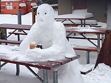 Сенатор: Из-за алкоголя ежегодно гибнут 50 тысяч россиян