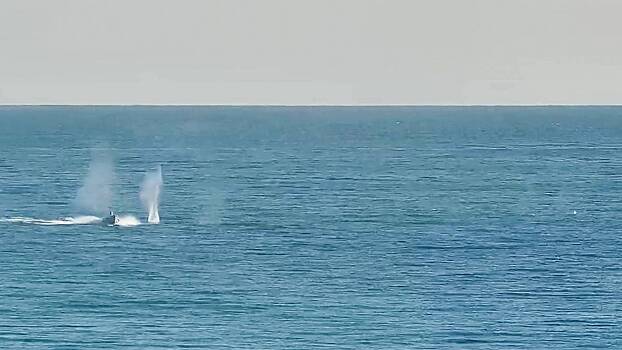 Найденный у берегов Турции украинский безэкипажный катер решили уничтожить