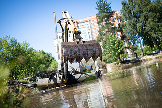 Голосование по очистке прудов в Московской области начнется 10 сентября