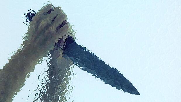 «Вожатый-Потрошитель»: что творил самый странный маньяк СССР