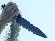 «Вожатый-Потрошитель»: что творил самый странный маньяк СССР