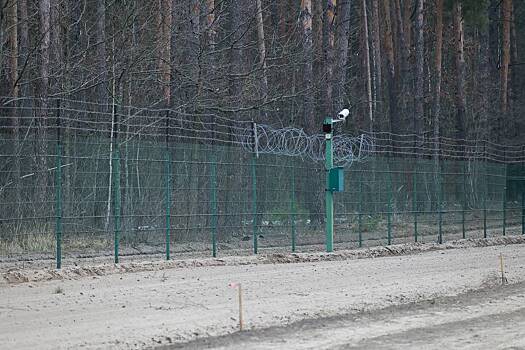 Граждане королевства Марокко попытались незаконно пересечь госграницу России