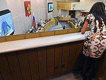 В Госдуме объяснили отказ от корпоратива на Новый год