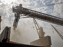 Российский зерновой союз высказался о продлении зерновой сделки