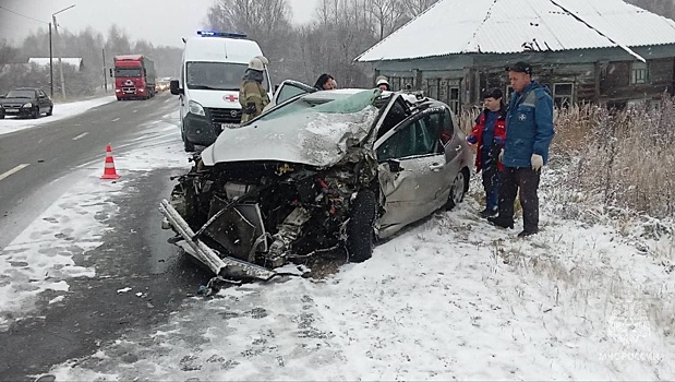 На Кубани в ДТП с микроавтобусом погибли два человека