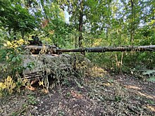 ВСУ готовят операцию «два в одном»: в Черниговской области собрана 50-тысячная группировка
