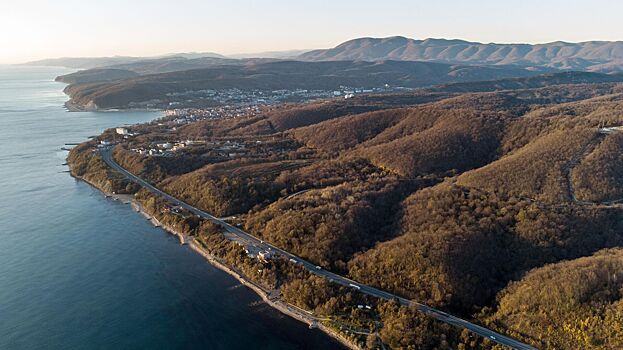 Кто живет в Черном море и нужно ли их бояться во время плавания
