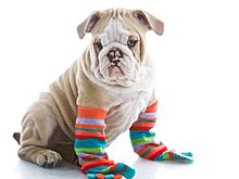 Каждому по паре: узнайте знаменитость по носкам