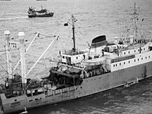 Траулер “Картли”: как советское судно стало жертвой волны-убийцы
