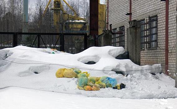 «Они даже не представляют, какой ужас можно обнаружить». Петрозаводчан шокировала свалка со шприцами и пробирками с кровью