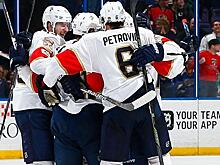 Гол Трочека за 5 секунд до овертайма принёс «Флориде» победу над «Сент-Луисом»