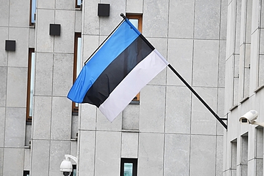 Эстония заявила о планах получить ПВО средней дальности