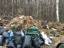 Комиссия нашла свалки на 10 кладбищах в Пензе и соседних селах