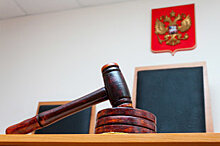 Матвиенко: Закон о запрете "клеток" в судах надо принять в этом году