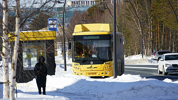 По Ноябрьску курсируют нарядные новогодние автобусы